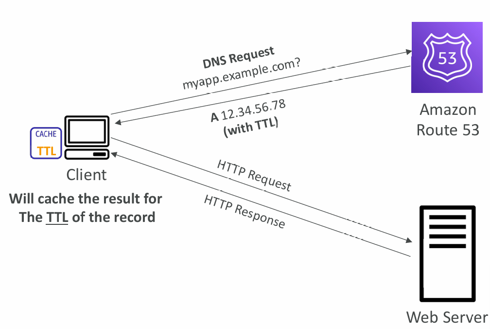 dns-ttsl