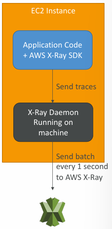 xray-installation